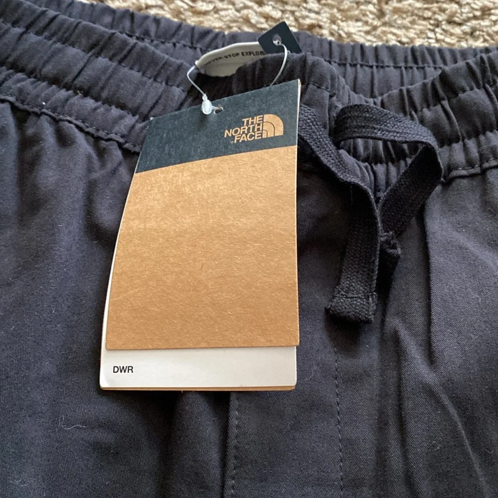 Mens The North Face Shorts - Picture 3 of 6